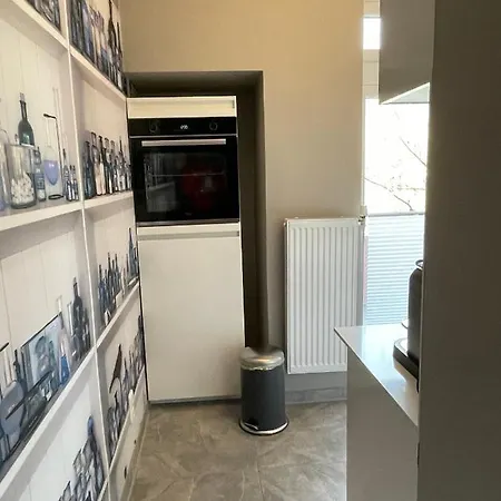 Altbaucharme Deluxe Mit Balkon In Zentraler Lage