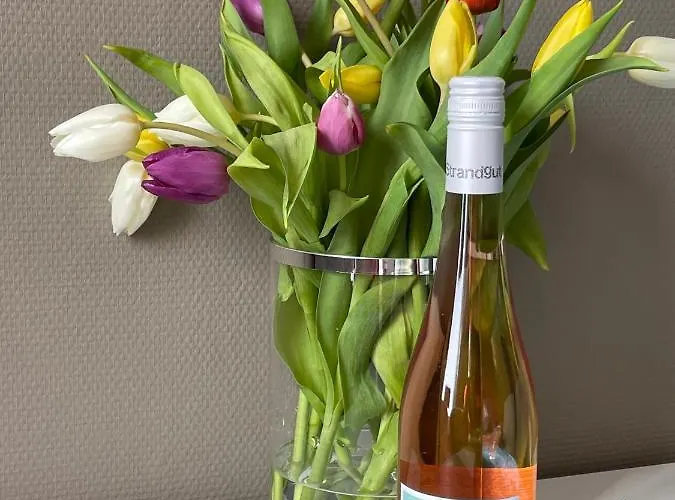 Altbaucharme Deluxe Mit Balkon In Zentraler Lage *